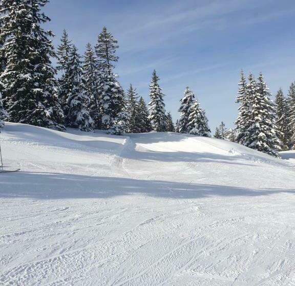 Номер Deluxe, Haus Theresia Alpbach