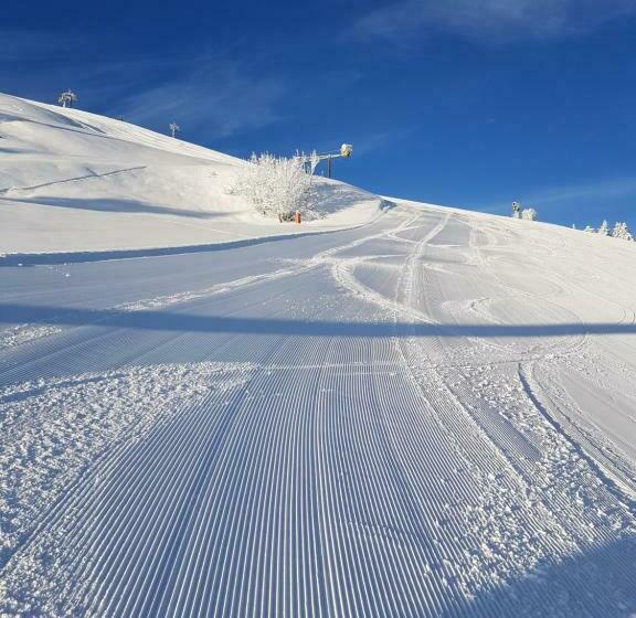 Номер Deluxe, Haus Theresia Alpbach