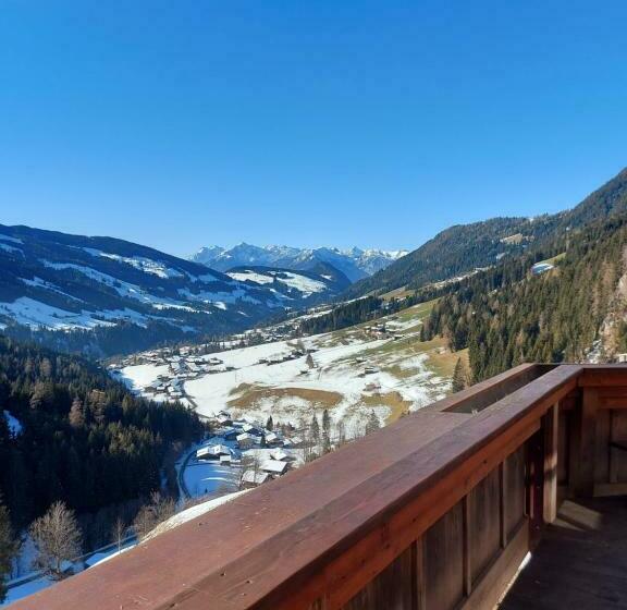 Номер Deluxe, Haus Theresia Alpbach