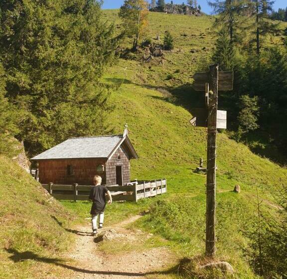 Номер Deluxe, Haus Theresia Alpbach