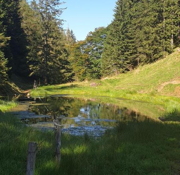 Номер Deluxe, Haus Theresia Alpbach