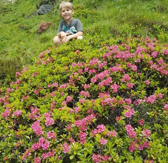 Номер Deluxe, Haus Theresia Alpbach