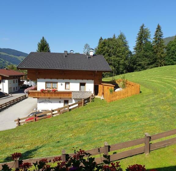 Номер Deluxe, Haus Theresia Alpbach