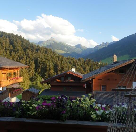 Номер Deluxe, Haus Theresia Alpbach