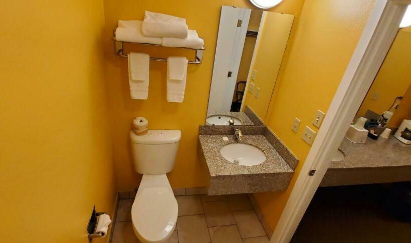 豪华房间, Olympic View Inn