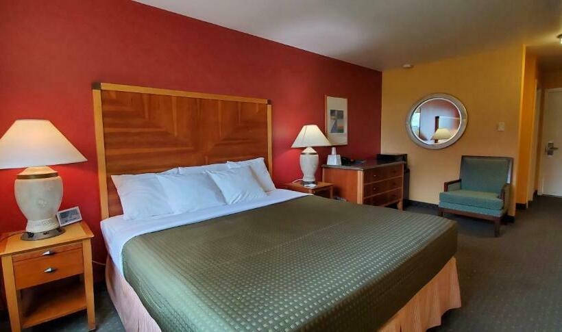 스탠다드 룸 킹사이즈 침대, Olympic View Inn