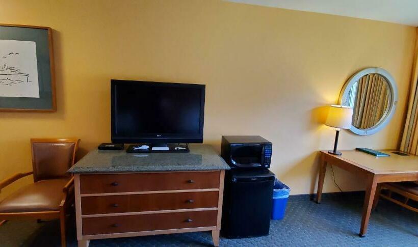 豪华房间, Olympic View Inn