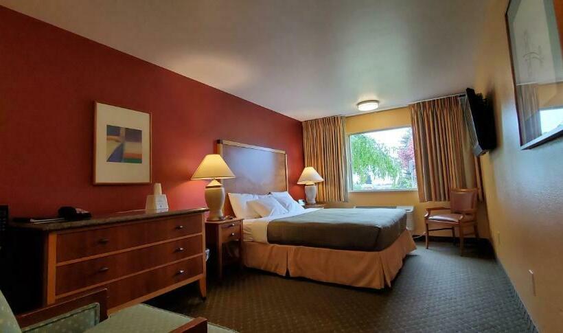 带大床的标准间, Olympic View Inn