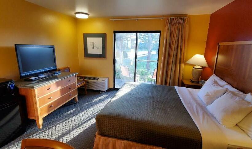 带大床的标准间, Olympic View Inn