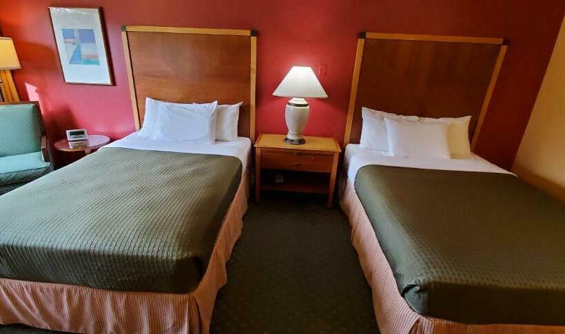 豪华房间, Olympic View Inn