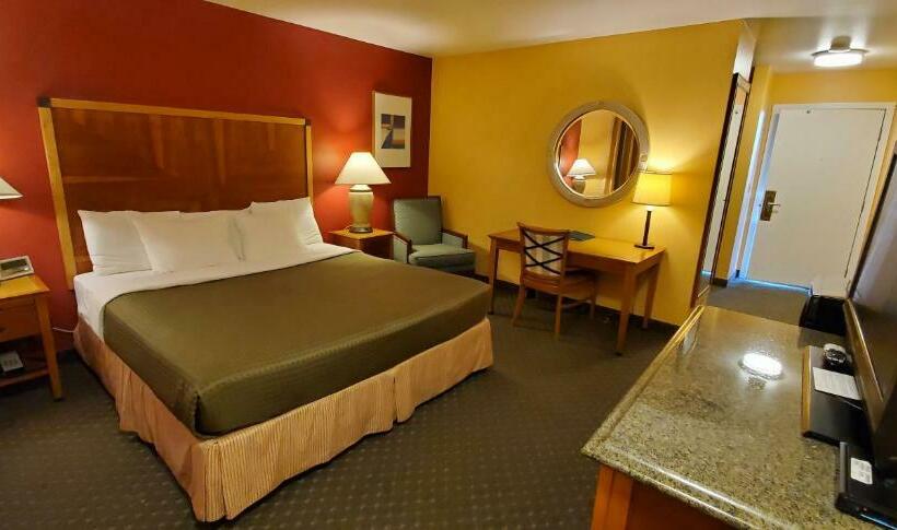 스탠다드 룸 킹사이즈 침대, Olympic View Inn