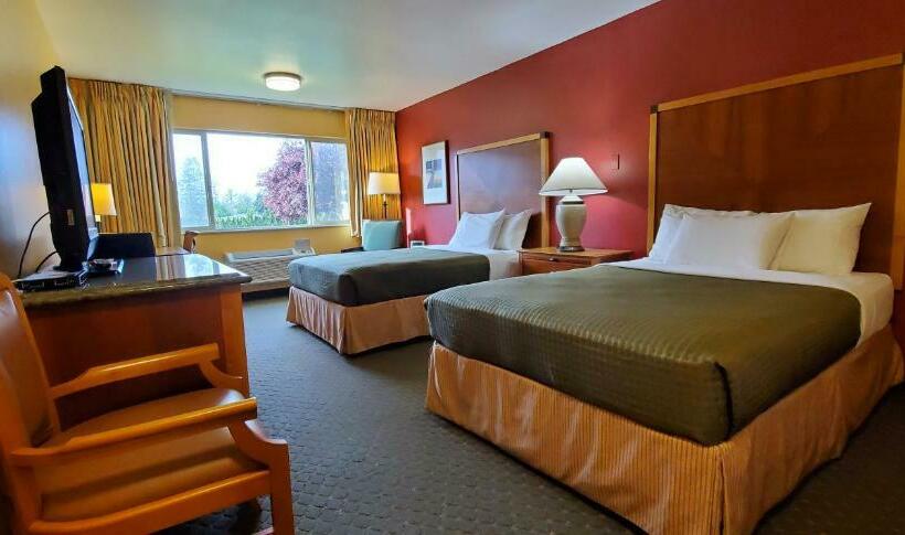 豪华房间, Olympic View Inn