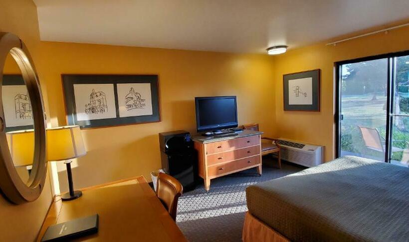 带大床的标准间, Olympic View Inn