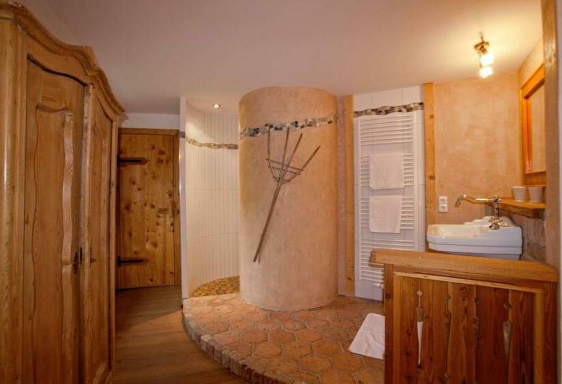 غرفة قياسية, Ortnerhof Ennstal