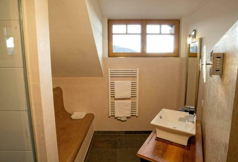 غرفة قياسية, Ortnerhof Ennstal