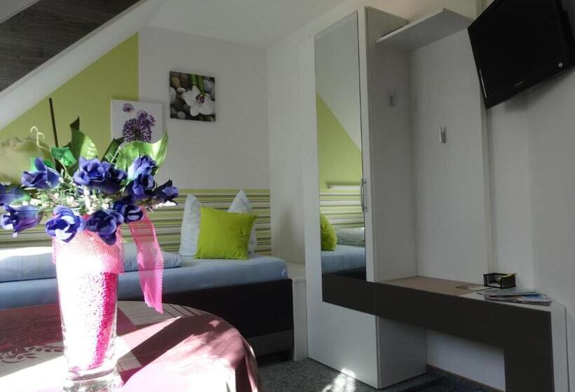 חדר סטנדרט יחיד, Pension Ilmhof