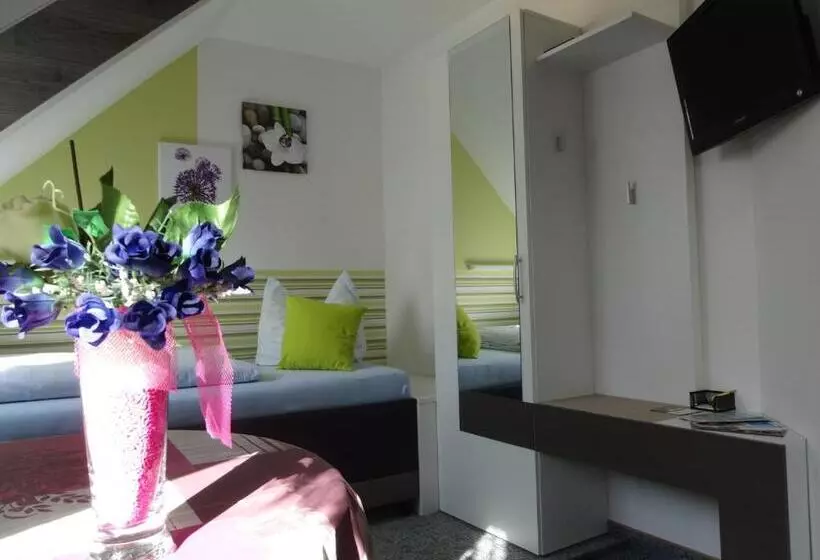 Standard Yhden Hengen Huone, Pension Ilmhof