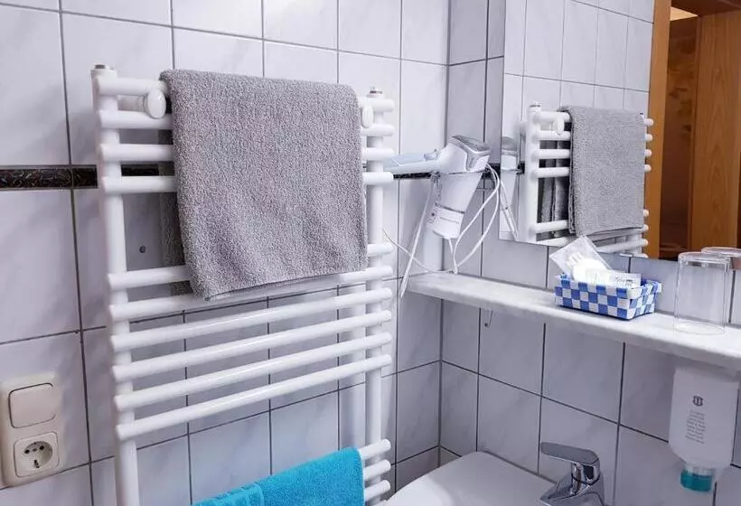 Standard Yhden Hengen Huone, Pension Ilmhof