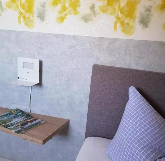 Standard Yhden Hengen Huone, Pension Ilmhof