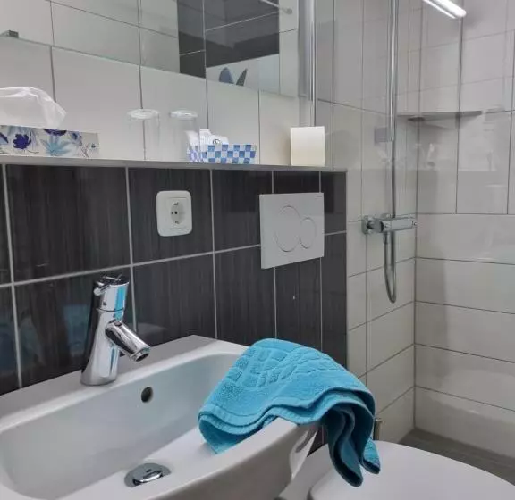 Standard-huone, Pension Ilmhof