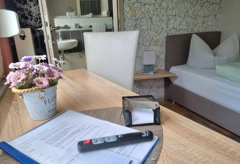 Номер Стандарт, Pension Ilmhof