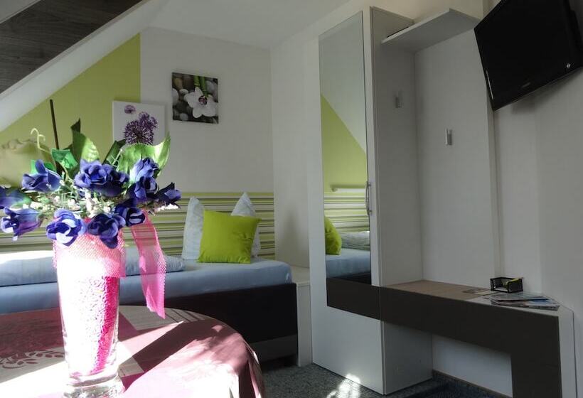 חדר סטנדרט יחיד, Pension Ilmhof