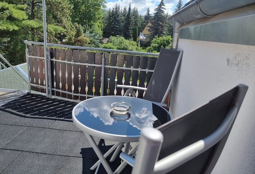 דירה בת חדר שינה 1 עם מרפסת, Pension Ilmhof