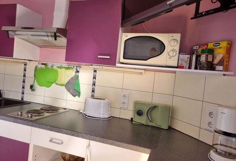 דירה בת חדר שינה 1 עם מרפסת, Pension Ilmhof