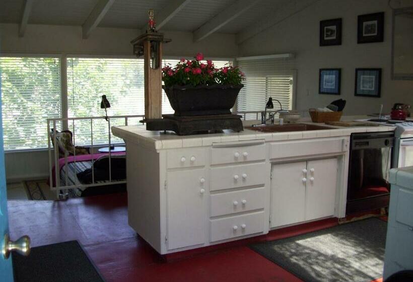 إستوديو ديلوكس, Rio Sierra Riverhouse