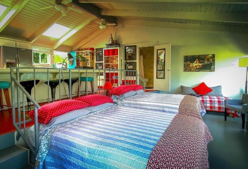 إستوديو ديلوكس, Rio Sierra Riverhouse