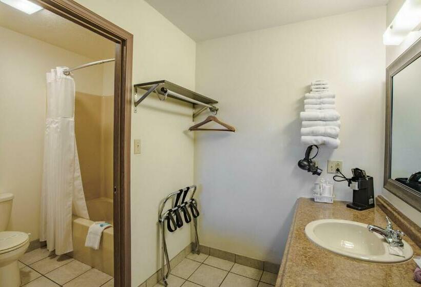 豪华房间, Shady Acre Inn And Suites