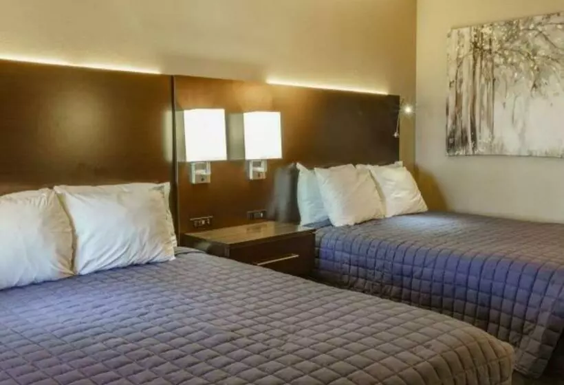 デラックスルーム, Shady Acre Inn And Suites