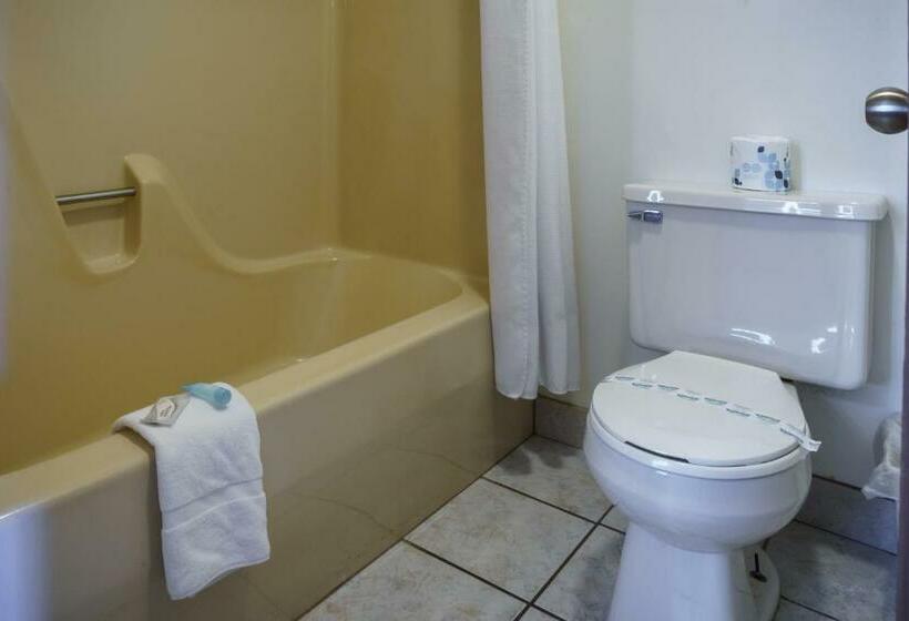 带大床的豪华间, Shady Acre Inn And Suites