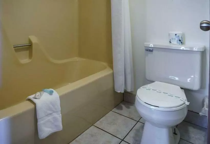 キングサイズベッドのデラックスルーム, Shady Acre Inn And Suites