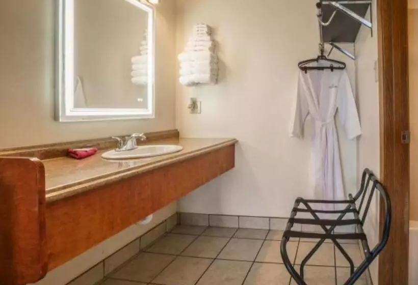 キングサイズベッドのデラックスルーム, Shady Acre Inn And Suites