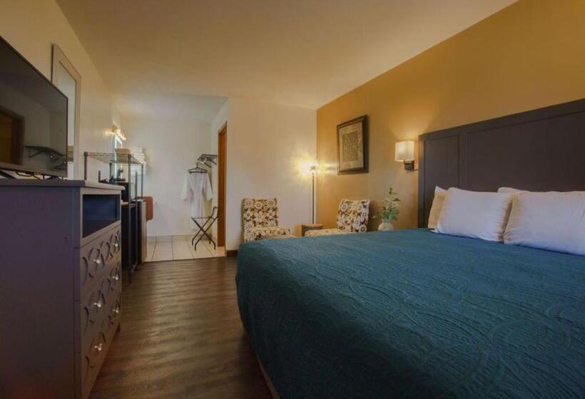 带大床的豪华间, Shady Acre Inn And Suites