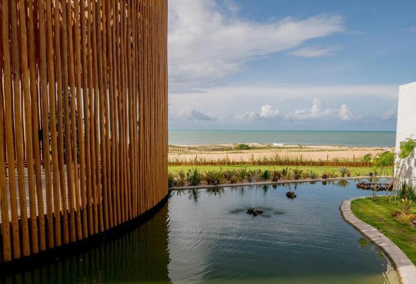 شقة غرفة واحدة مطلة على البحر, Nanii