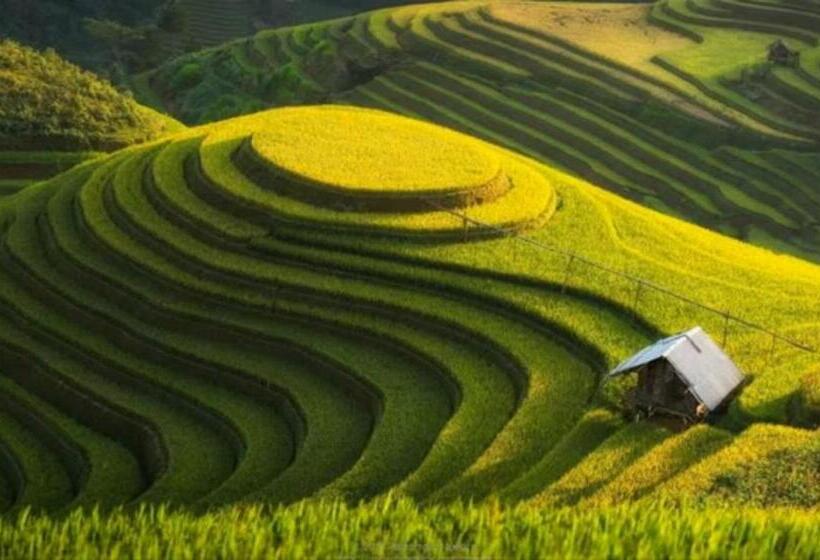 اتاق خانوادگی, Hoanuihomestay