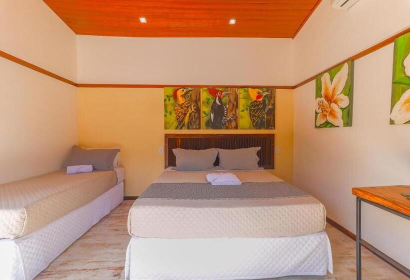 חדר קלאסי לארבעה, Art Green Teresópolis