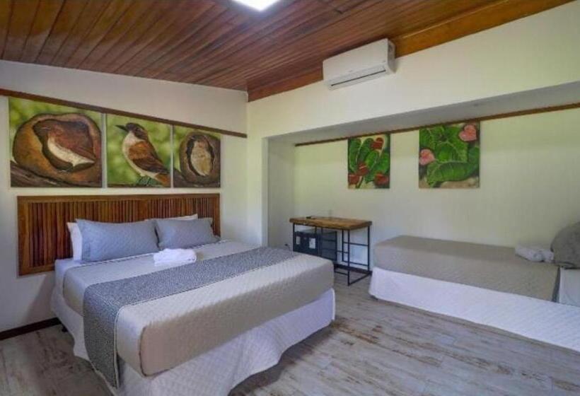 חדר סופריור לארבעה, Art Green Teresópolis