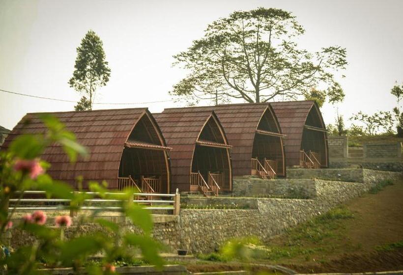 בקתה סטנדרטית, The Hills Kerinci