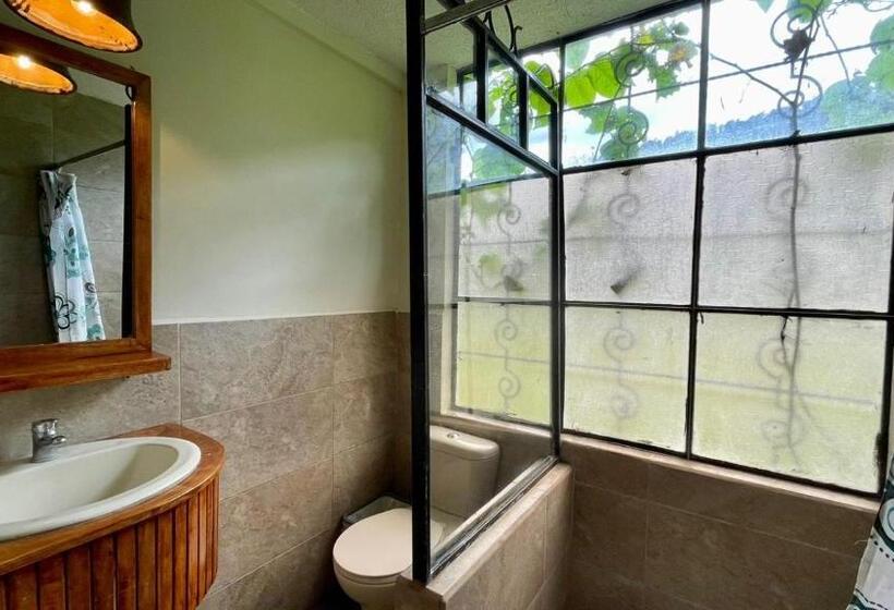 اتاق استاندارد, Pineal Hampi Huasi