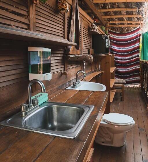 キャビン, Frutas Y Verduras