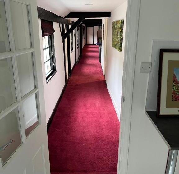 غرفة ديلوكس مطلّة علي الحديقة, Yu’s Guest House