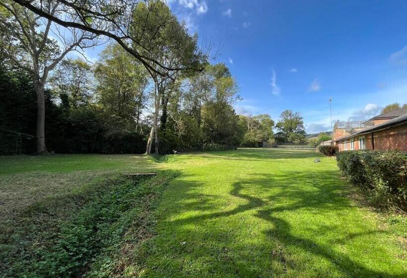 غرفة سوبيريور مطلّة علي الحديقة, Yu’s Guest House