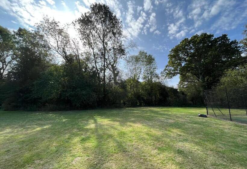 غرفة سوبيريور مطلّة علي الحديقة, Yu’s Guest House