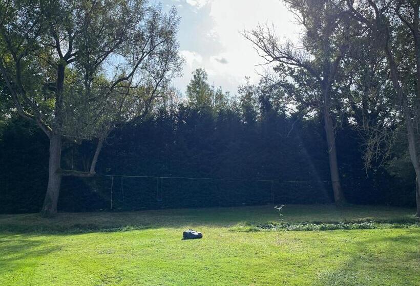 غرفة ديلوكس مطلّة علي الحديقة, Yu’s Guest House