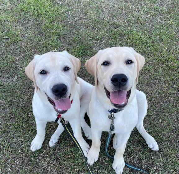 海景套房, Setouchi Island Stays Suo Oshima