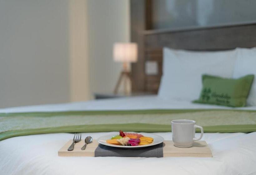 スタンダードルーム, Aventuras