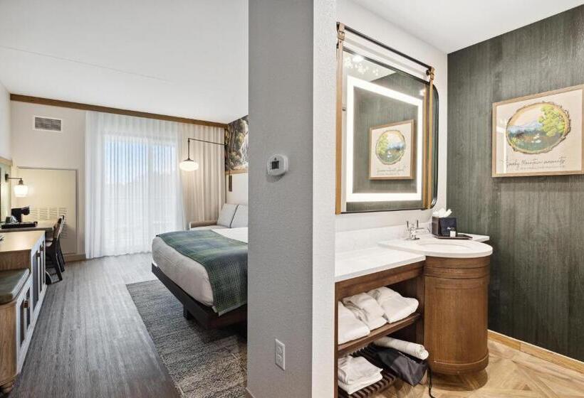 带大床的标准间, Dollywood S Heartsong Lodge & Resort